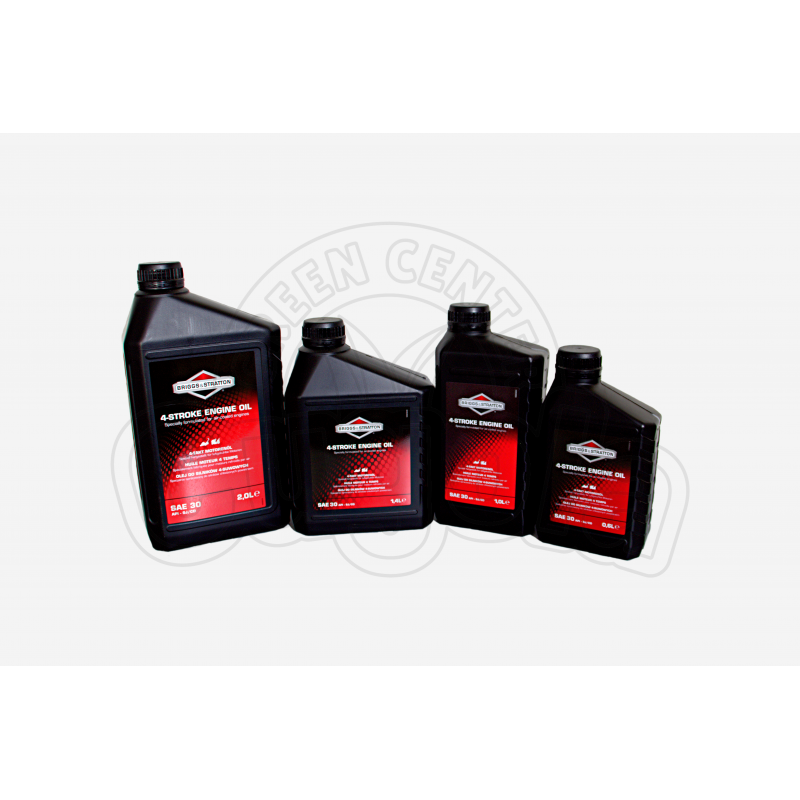 Carburanti e lubrificanti Briggs&Stratton
