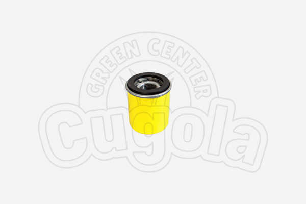 FILTRO OLIO MOTORE B&S MOTORI 123P- 14B