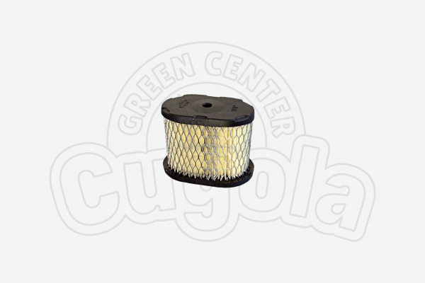 FILTRO ARIA B&S 697029