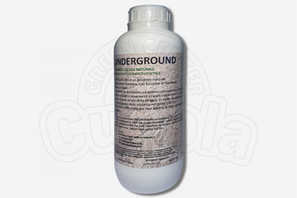 Underground - Nature Underground - Nature