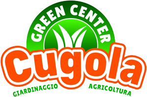 Cugola